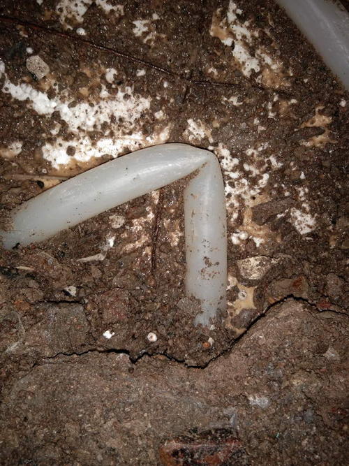 秦安堵点精准查找